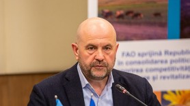 Vladimir Bolea: Cerealele ucrainene nu rămân pe teritoriul Republicii Moldova